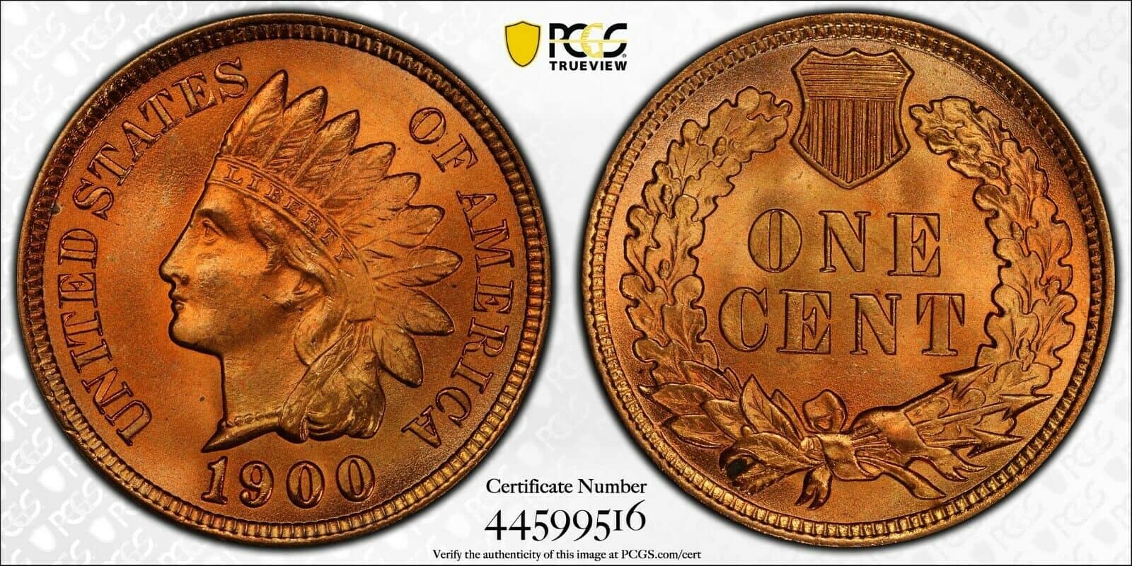 1900 Indian Head Cent - PCGS MS66 PLUS RD CAC - Monster Coin