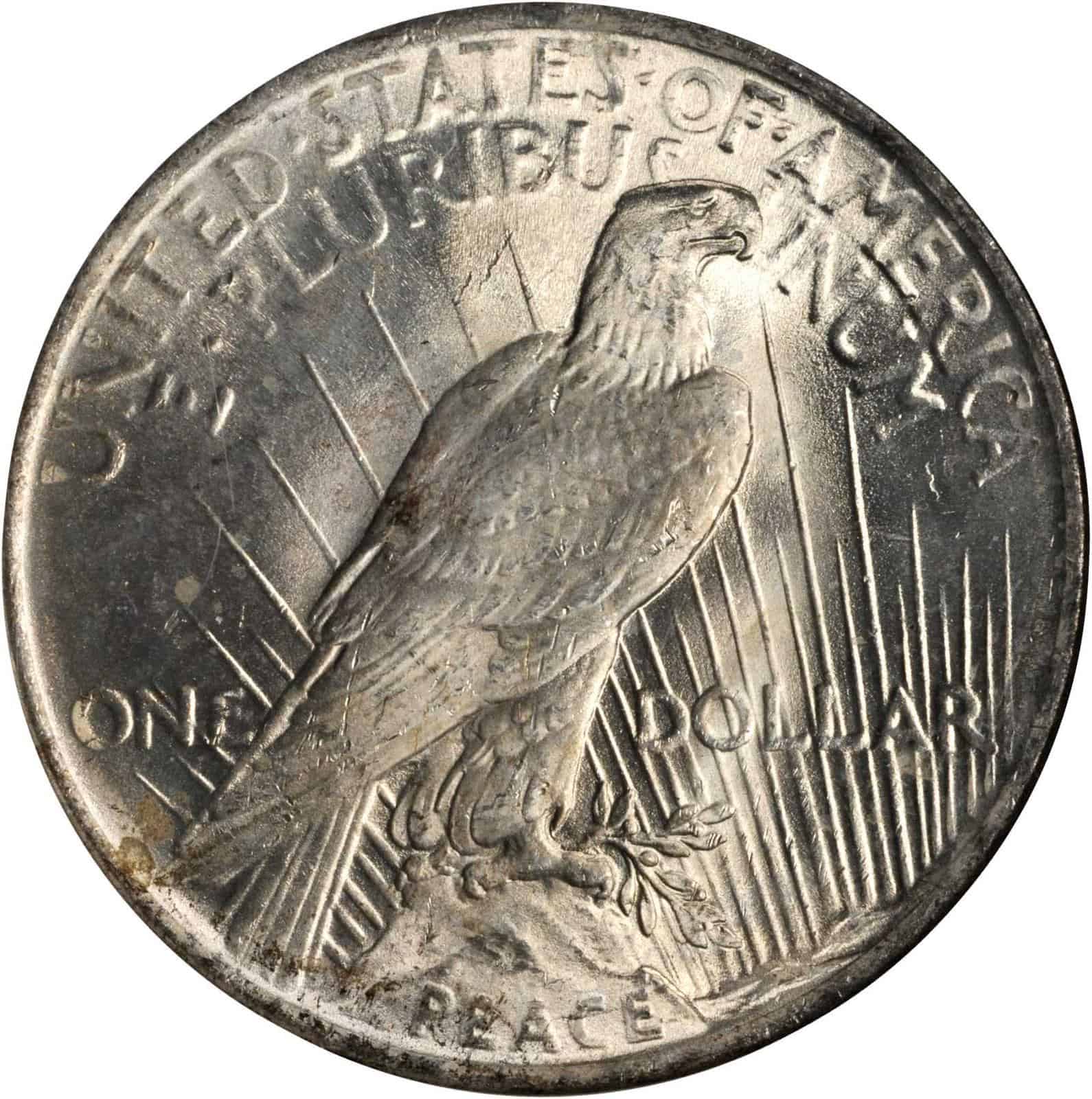 The Reverse of the 1923 Silver Dollar