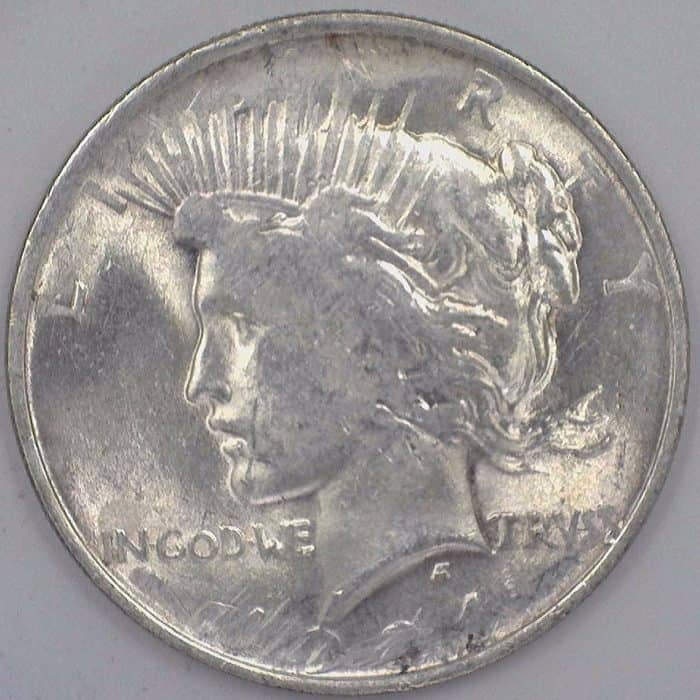 1924 Silver Dollar Strikethrough Error