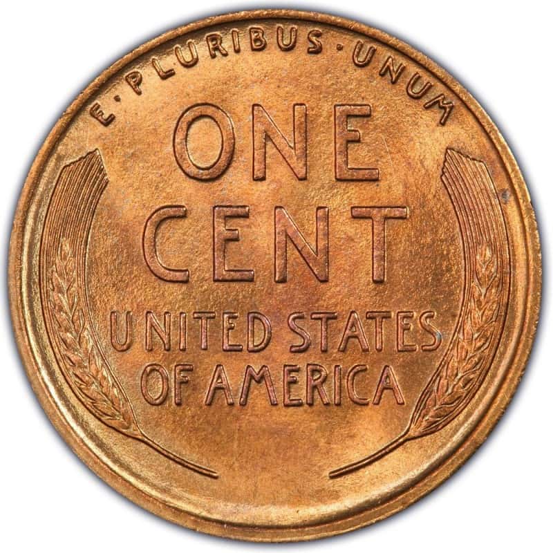 The reverse of the 1919 Lincoln wheat penny