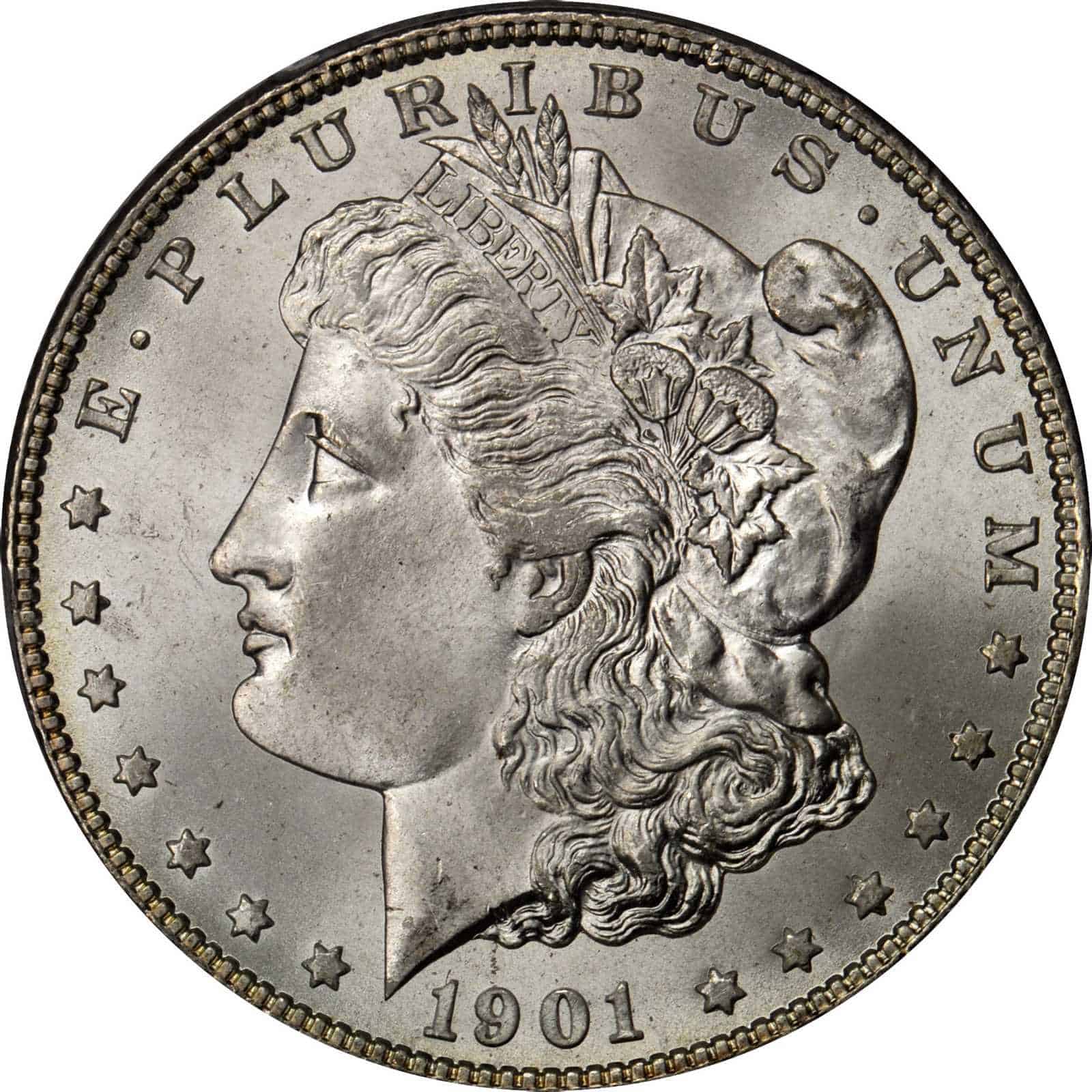 The Obverse of the 1901 Silver Dollar