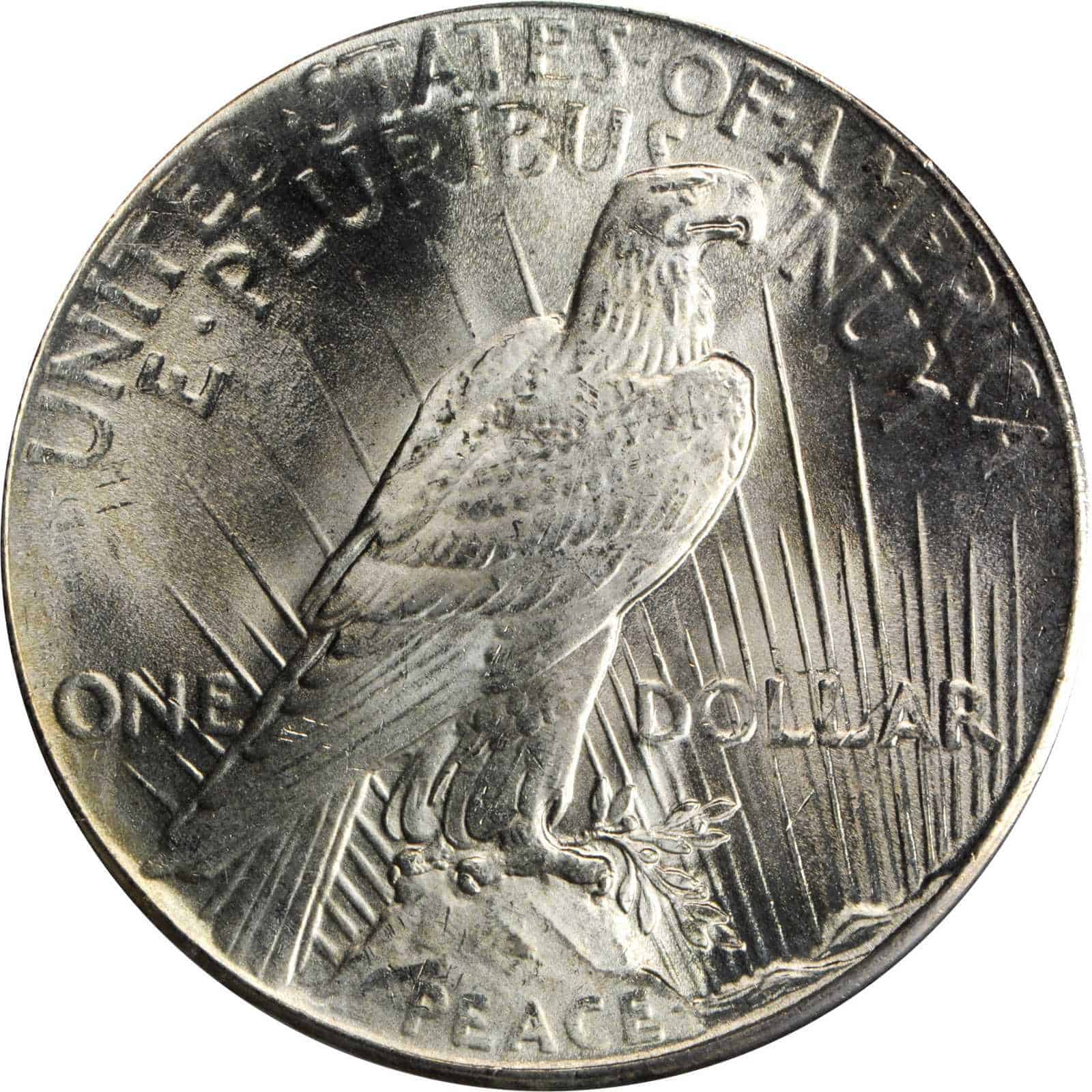 The Reverse of the 1925 Silver Dollar