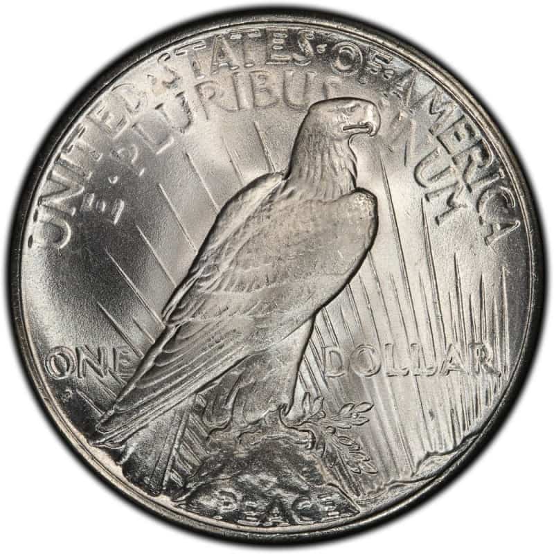 The Reverse of the 1926 Silver Dollar