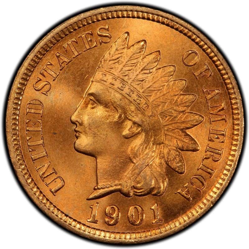 The obverse of the 1901 Indian head penny