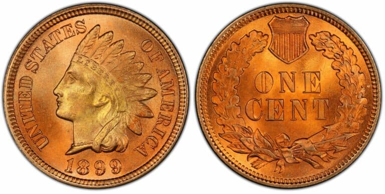 1899 Indian Head Penny Value (Rare Errors & No Mint Marks)