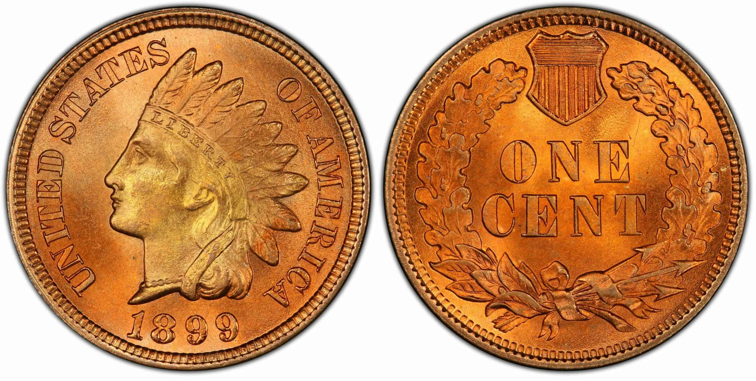 1899 Indian Head Penny Value (Rare Errors & No Mint Marks)